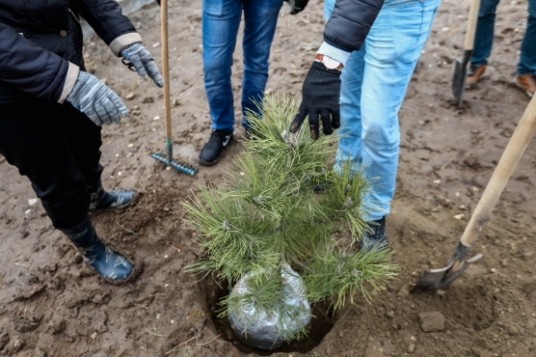 В Ижевске пройдет акция &laquo;Аллея Надежды&raquo;